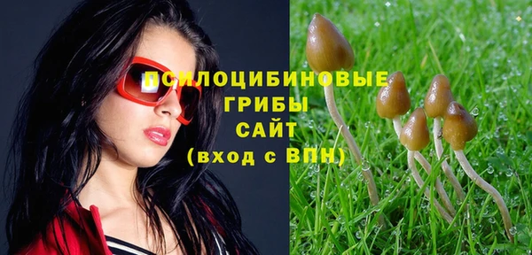 MESCALINE Богородск