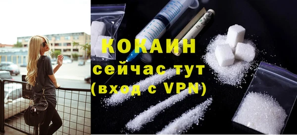 дурь Богданович