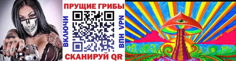 Псилоцибиновые грибы Psilocybe  дарнет шоп  Белоярский 