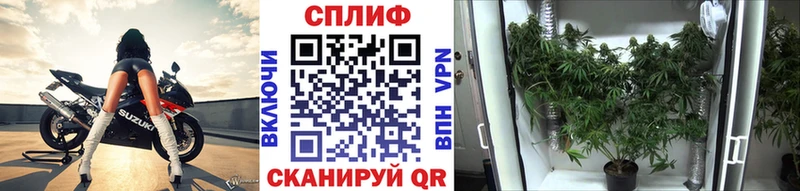 где продают   Белоярский  hydra ССЫЛКА  Канабис THC 21% 
